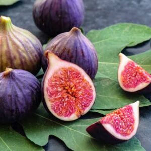 মিশরীয় ডুমুর গাছ....